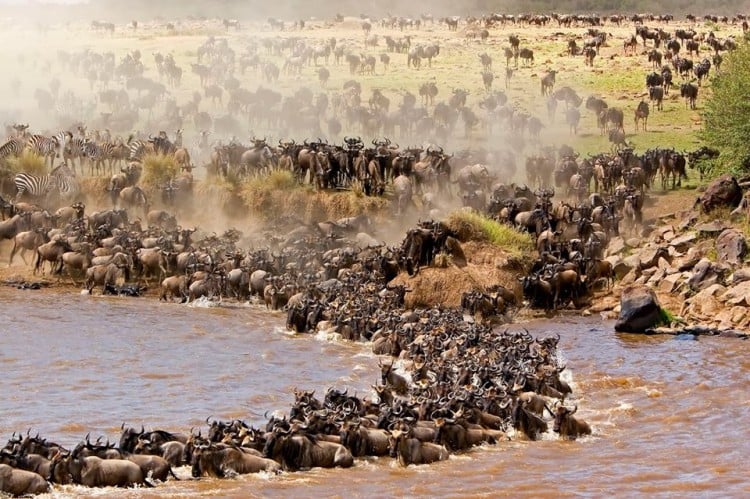 Great Migration