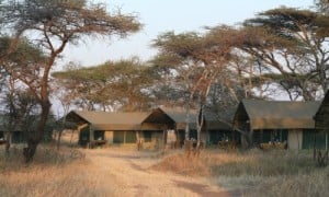 Serengeti Kati Kati Tented Camp_3