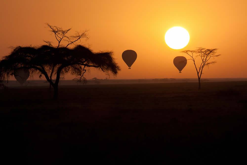 Balloon Safari