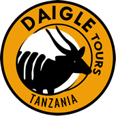 Daigle Tours