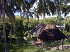 Mafia Beach Bungalow