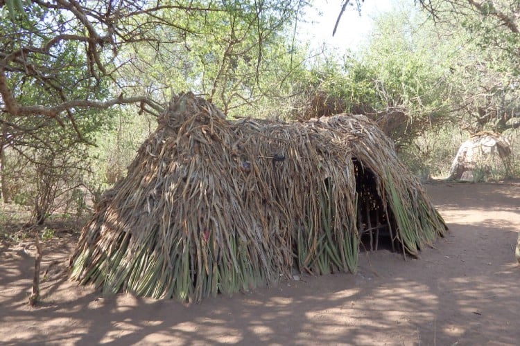 Bushmen-house