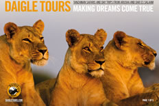 Tanzania National Parks Brochure and Map