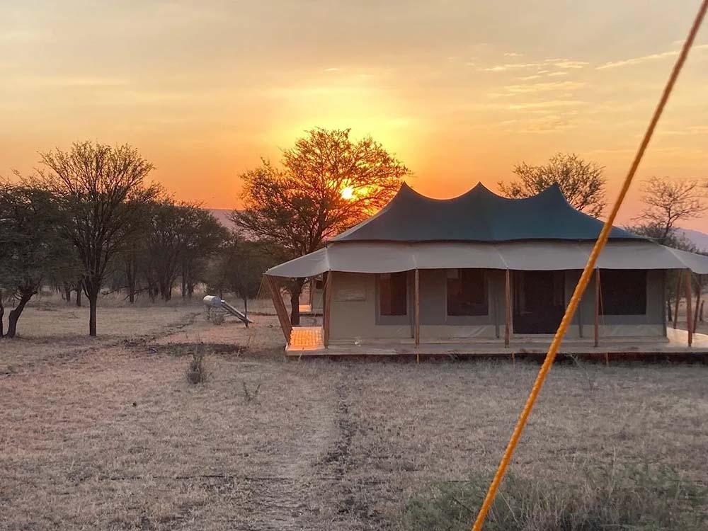 signature-serengeti-camp-1